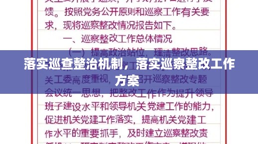 落實(shí)巡查整治機(jī)制，落實(shí)巡察整改工作方案 