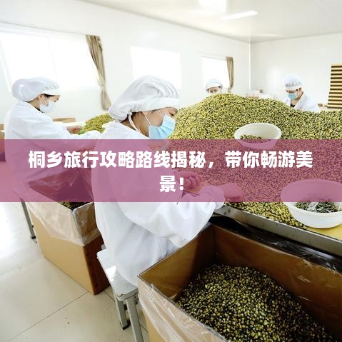 桐鄉(xiāng)旅行攻略路線揭秘，帶你暢游美景！