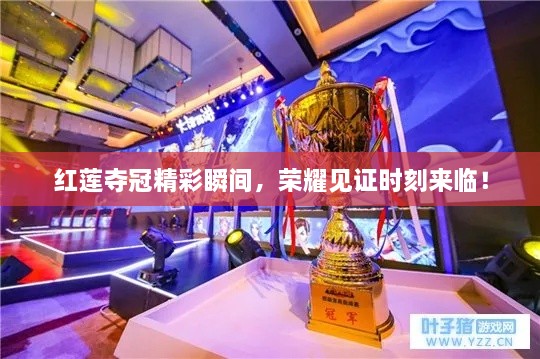 紅蓮?qiáng)Z冠精彩瞬間，榮耀見(jiàn)證時(shí)刻來(lái)臨！