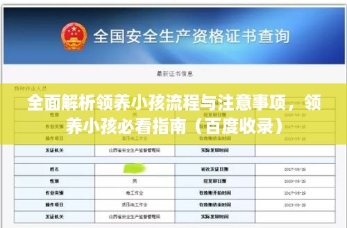 全面解析領(lǐng)養(yǎng)小孩流程與注意事項，領(lǐng)養(yǎng)小孩必看指南（百度收錄）