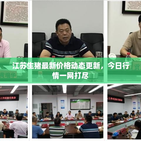 江蘇生豬最新價格動態(tài)更新，今日行情一網(wǎng)打盡