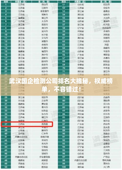 武漢國企檢測公司排名大揭秘，權威榜單，不容錯過！