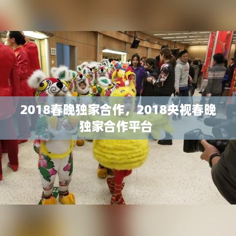 2018春晚獨(dú)家合作，2018央視春晚獨(dú)家合作平臺 