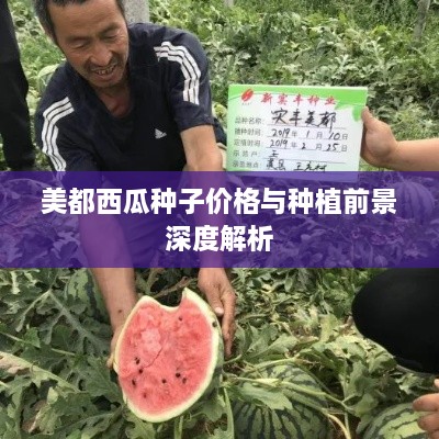 美都西瓜種子價格與種植前景深度解析