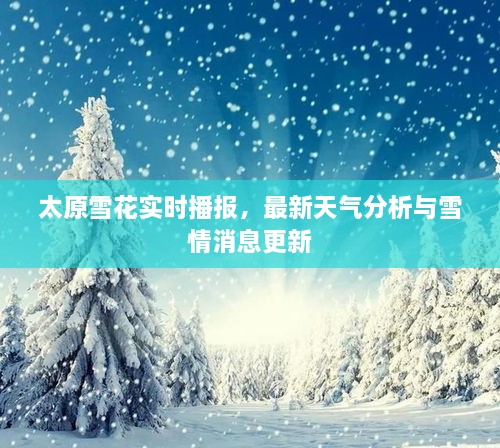 太原雪花實時播報，最新天氣分析與雪情消息更新