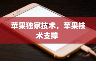 蘋果獨家技術(shù)，蘋果技術(shù)支撐 