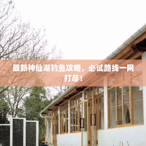 最新神仙湖釣魚攻略，必試路線一網(wǎng)打盡！