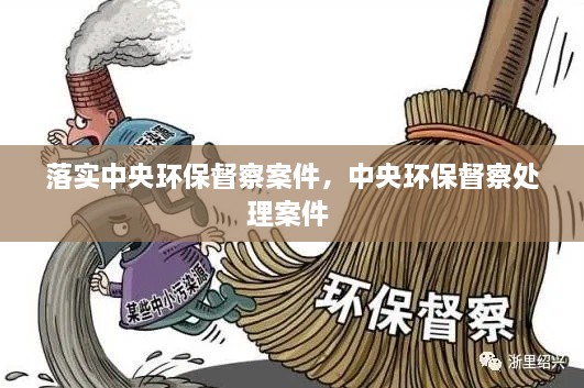 落實中央環(huán)保督察案件，中央環(huán)保督察處理案件 
