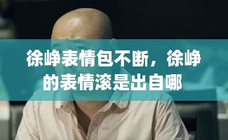 徐崢表情包不斷，徐崢的表情滾是出自哪 