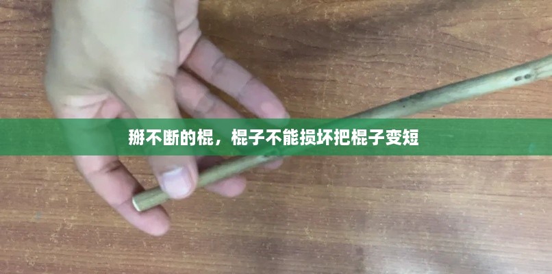 鳥(niǎo)為食亡 第2頁(yè)