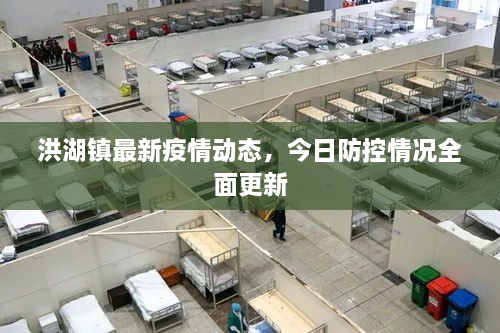 洪湖鎮(zhèn)最新疫情動(dòng)態(tài)，今日防控情況全面更新