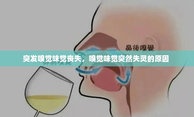 突發(fā)嗅覺味覺喪失，嗅覺味覺突然失靈的原因 