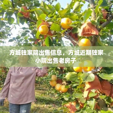 方城獨家院出售信息，方城近期獨家小院出售老房子 