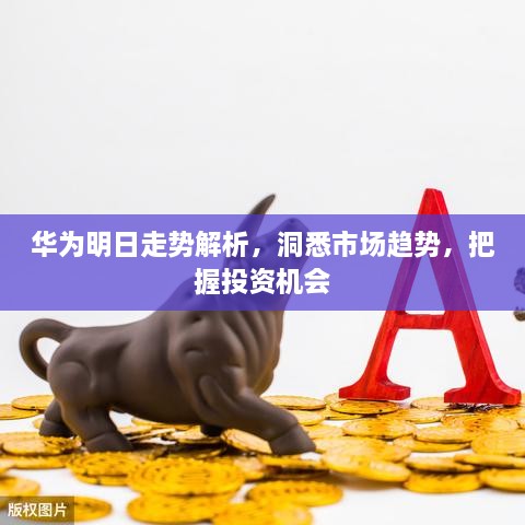 華為明日走勢解析，洞悉市場趨勢，把握投資機(jī)會