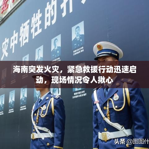 海南突發(fā)火災(zāi)，緊急救援行動(dòng)迅速啟動(dòng)，現(xiàn)場(chǎng)情況令人揪心