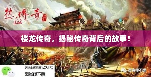 樓龍傳奇，揭秘傳奇背后的故事！