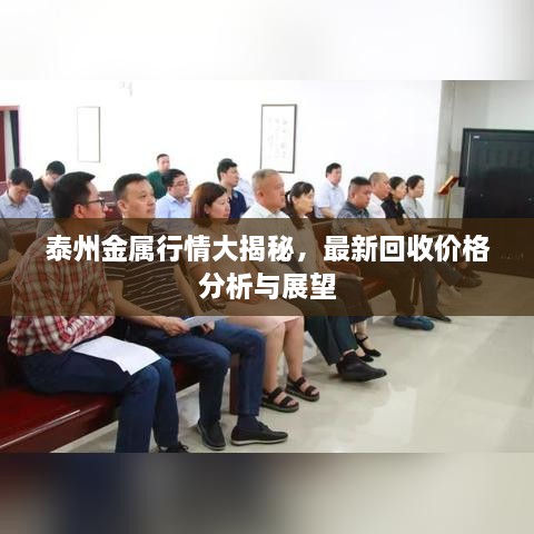 泰州金屬行情大揭秘，最新回收價(jià)格分析與展望