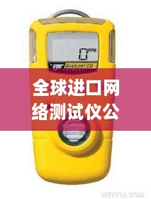 全球進(jìn)口網(wǎng)絡(luò)測試儀公司排名大揭秘！