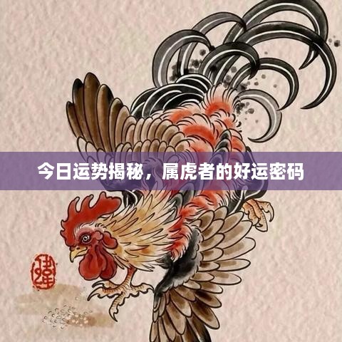 今日運勢揭秘，屬虎者的好運密碼