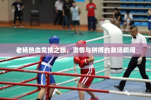 老楊熱血競技之旅，激情與拼搏的賽場瞬間