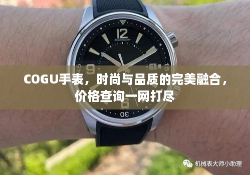 COGU手表，時(shí)尚與品質(zhì)的完美融合，價(jià)格查詢一網(wǎng)打盡