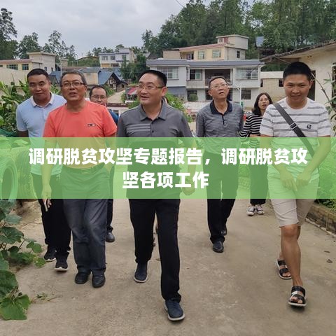 調(diào)研脫貧攻堅專題報告，調(diào)研脫貧攻堅各項工作 