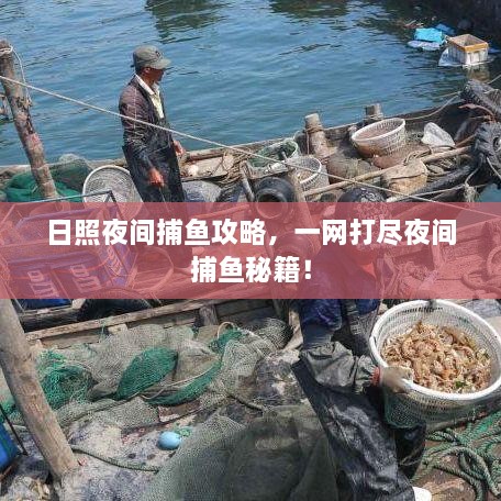 日照夜間捕魚攻略，一網(wǎng)打盡夜間捕魚秘籍！
