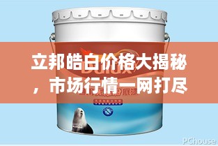 立邦皓白價格大揭秘，市場行情一網(wǎng)打盡