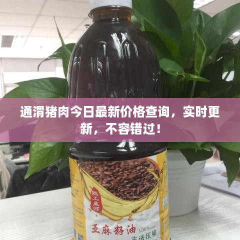 通渭豬肉今日最新價(jià)格查詢，實(shí)時(shí)更新，不容錯(cuò)過！