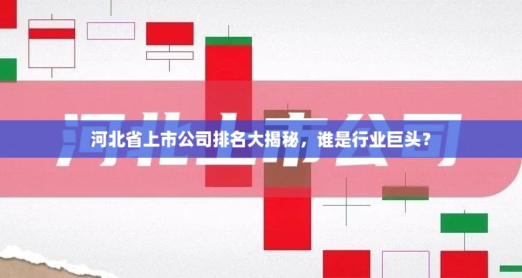 河北省上市公司排名大揭秘，誰是行業(yè)巨頭？