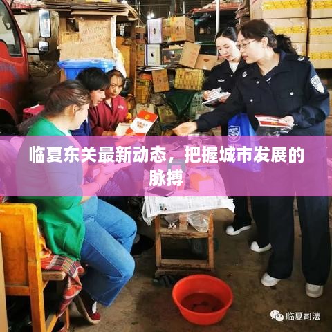 臨夏東關(guān)最新動(dòng)態(tài)，把握城市發(fā)展的脈搏