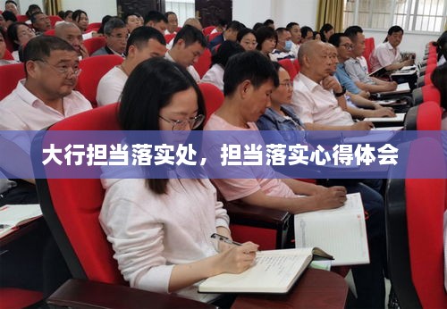 大行擔(dān)當(dāng)落實處，擔(dān)當(dāng)落實心得體會 