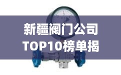 新疆閥門公司TOP10榜單揭曉，行業(yè)領(lǐng)軍者一覽無余
