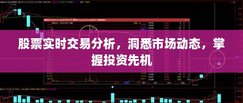 股票實(shí)時(shí)交易分析，洞悉市場(chǎng)動(dòng)態(tài)，掌握投資先機(jī)