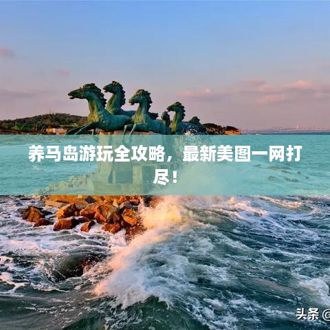養(yǎng)馬島游玩全攻略，最新美圖一網(wǎng)打盡！
