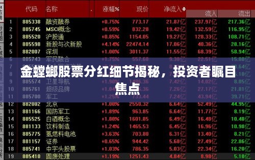 金螳螂股票分紅細節(jié)揭秘，投資者矚目焦點