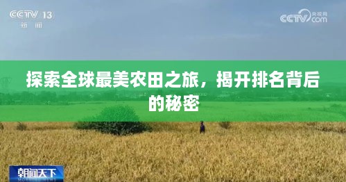 探索全球最美農(nóng)田之旅，揭開(kāi)排名背后的秘密