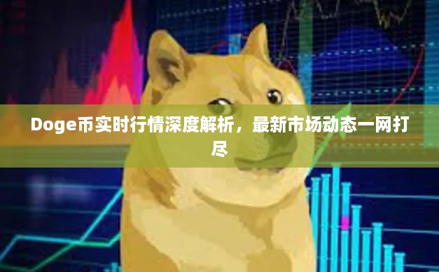 Doge幣實(shí)時(shí)行情深度解析，最新市場動(dòng)態(tài)一網(wǎng)打盡