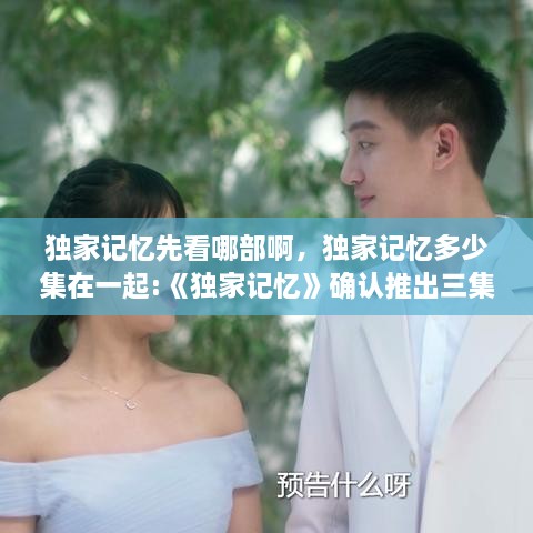 獨(dú)家記憶先看哪部啊，獨(dú)家記憶多少集在一起:《獨(dú)家記憶》確認(rèn)推出三集番外 