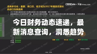 今日財務(wù)動態(tài)速遞，最新消息查詢，洞悉趨勢，掌握財經(jīng)動態(tài)
