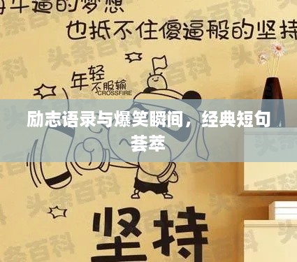 勵(lì)志語(yǔ)錄與爆笑瞬間，經(jīng)典短句薈萃