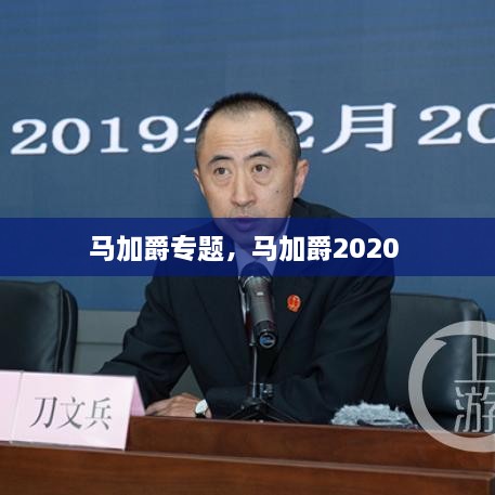 馬加爵專題，馬加爵2020 