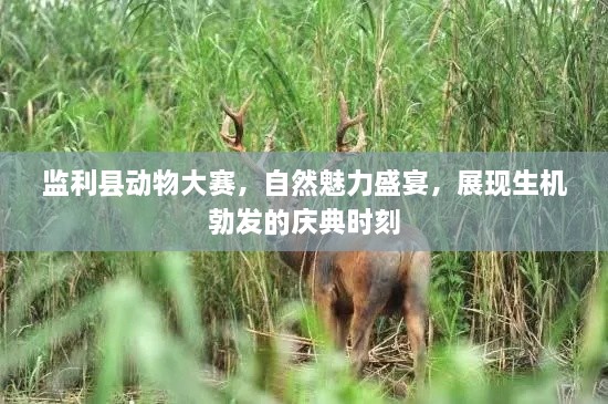 監(jiān)利縣動(dòng)物大賽，自然魅力盛宴，展現(xiàn)生機(jī)勃發(fā)的慶典時(shí)刻
