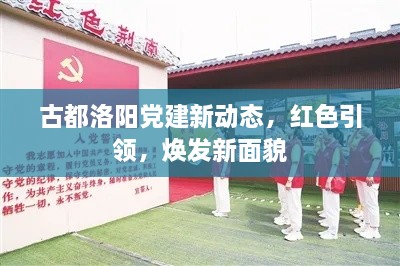 古都洛陽黨建新動態(tài)，紅色引領(lǐng)，煥發(fā)新面貌