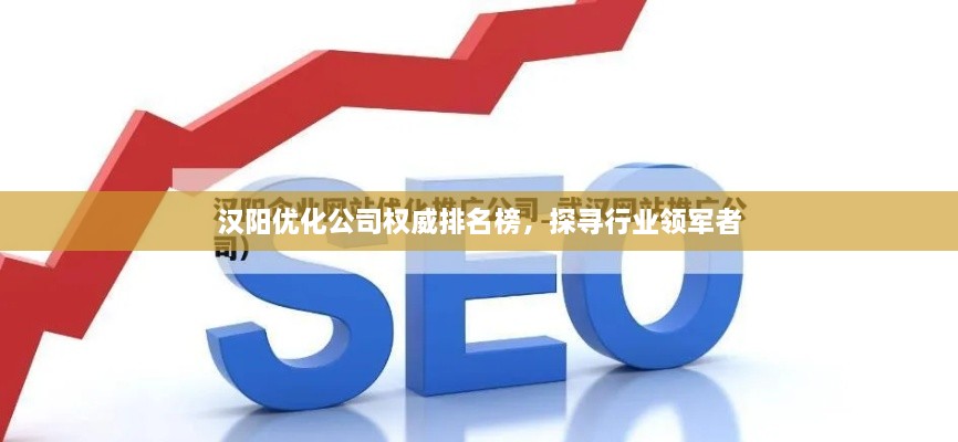 漢陽優(yōu)化公司權(quán)威排名榜，探尋行業(yè)領(lǐng)軍者