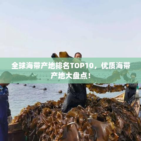 全球海帶產(chǎn)地排名TOP10，優(yōu)質(zhì)海帶產(chǎn)地大盤點(diǎn)！