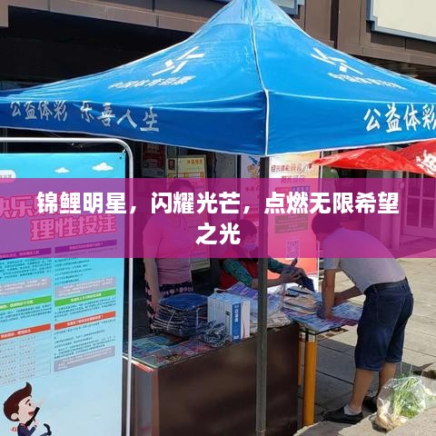 錦鯉明星，閃耀光芒，點(diǎn)燃無(wú)限希望之光