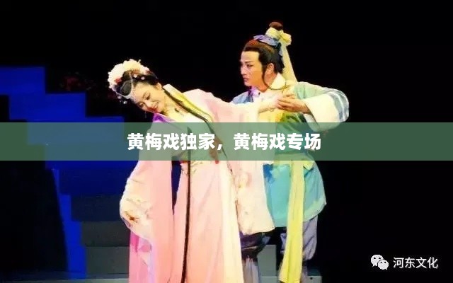 黃梅戲獨(dú)家，黃梅戲?qū)?chǎng) 