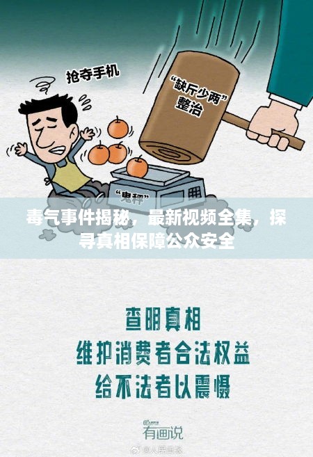 毒氣事件揭秘，最新視頻全集，探尋真相保障公眾安全