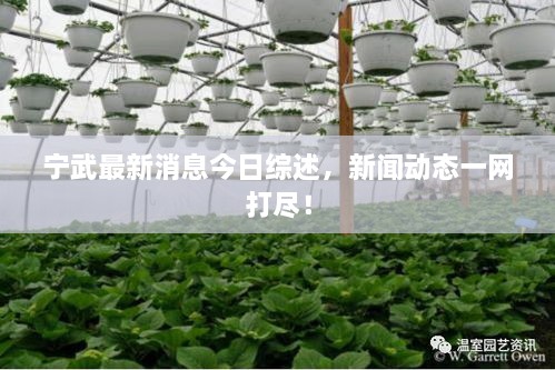 寧武最新消息今日綜述，新聞動(dòng)態(tài)一網(wǎng)打盡！